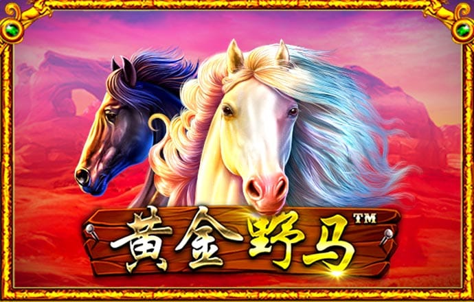 亚体育app网页版